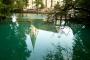 la rsurgence du "Blautopf"  Blaubeuren