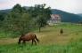 une ferme voisine restaure