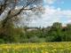 Nousseviller (57), pays des anctres Kirsch