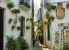 CordobaCalejonLasFlores.JPG