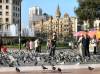 BarcelonePlazaCatalunia.jpg