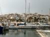 MarbellaBanus.JPG