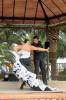 flamencoNoirCouple.jpg