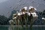 archives2011/QElizabeth/Copie de Shenzhen (20).JPG