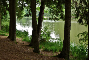 etang