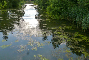 reflets