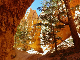 Balade dans Bryce canyon