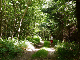 sentier