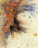 Aquarelle