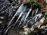 neige