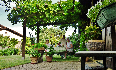 Dans le patio, english breakfast ! 