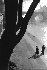 Paris 1953