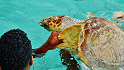 Atoll de Nokanhui