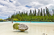 Baie d'Oro