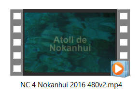 video Nokanhui