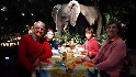 Rain forest café
