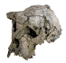 Toumaï