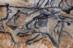 grotte Chauvet