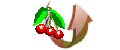 haut