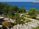 Dalmatie_015