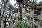 Shenzhen (28)