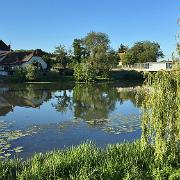 Louhans