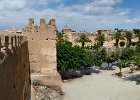 Taroudant et oasis de Tiout